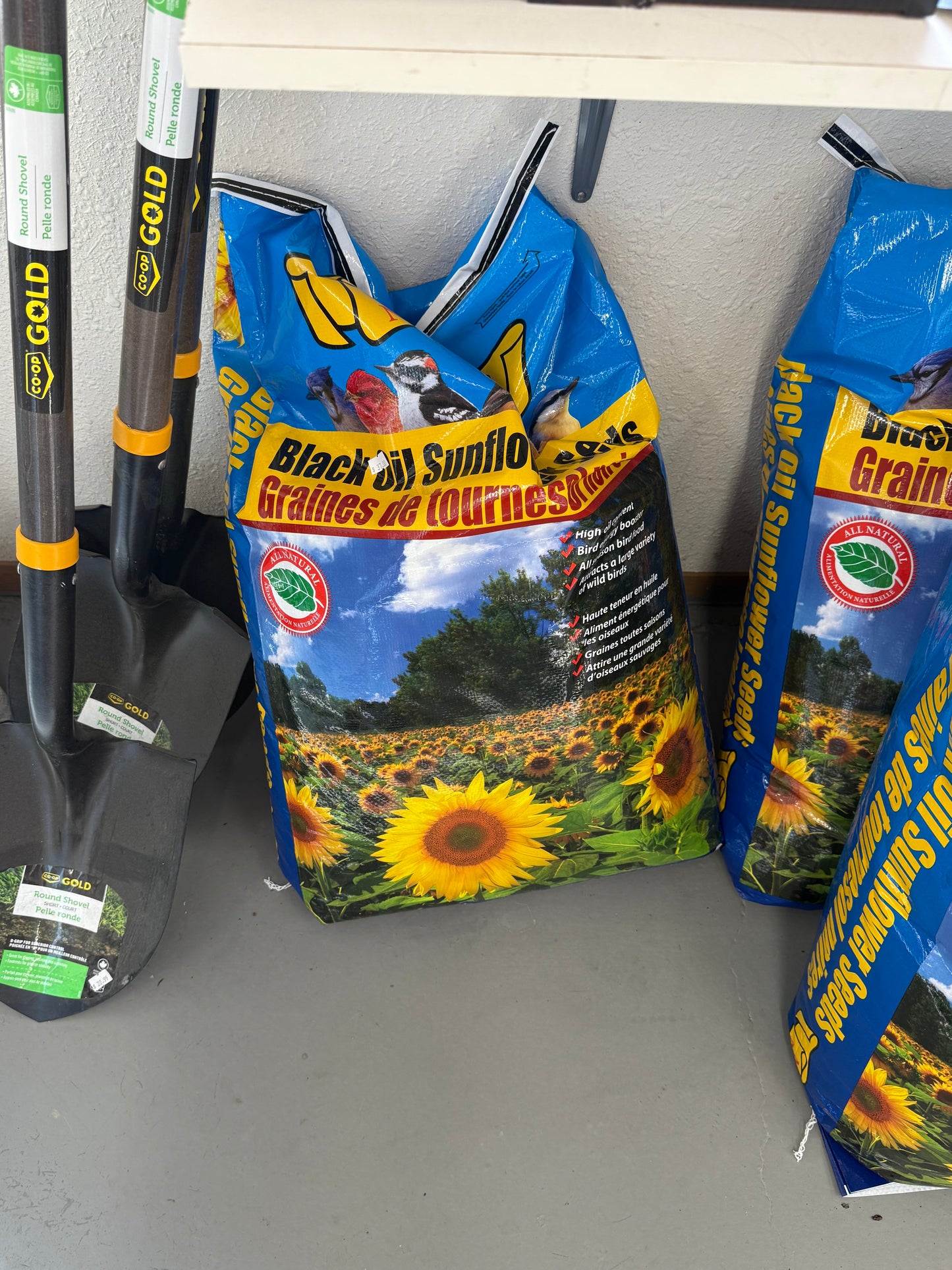 Mother Nature's - Wild Bird Seed - Black Oil Sunflower