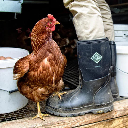 Muck Boot - Chore Classic Mid